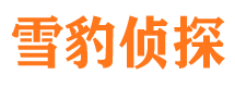 西昌找人公司